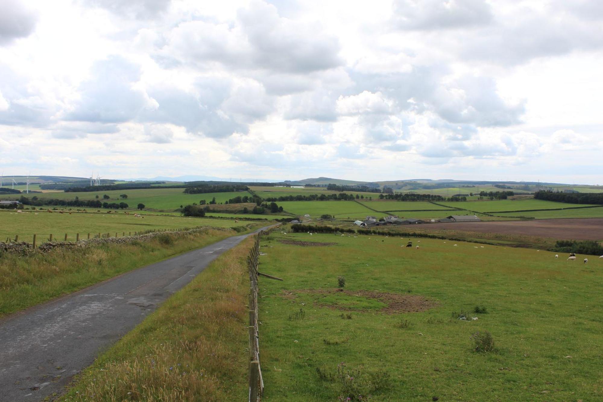 Belstruther Glamping Campsite *